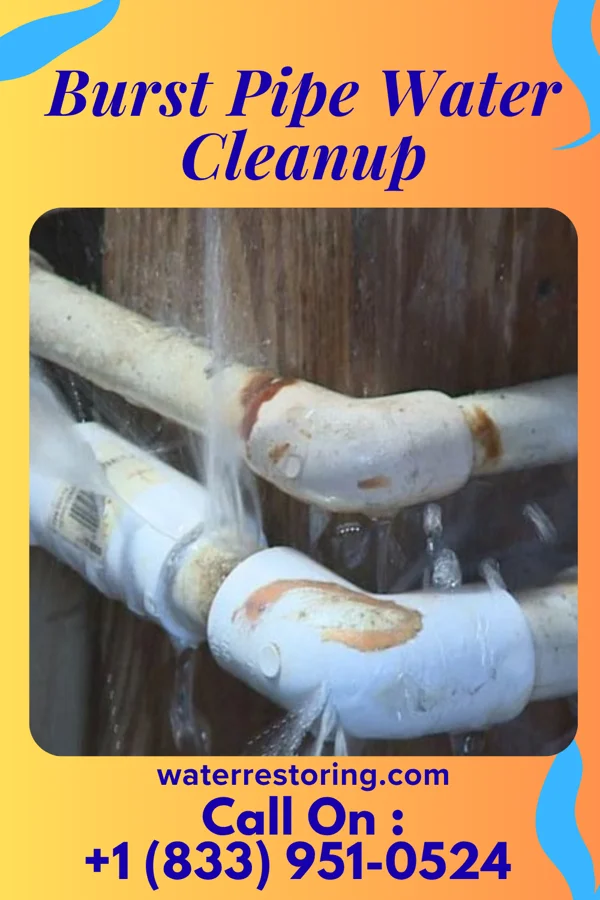 Burst Pipe Water Cleanup in Hampstead, MD