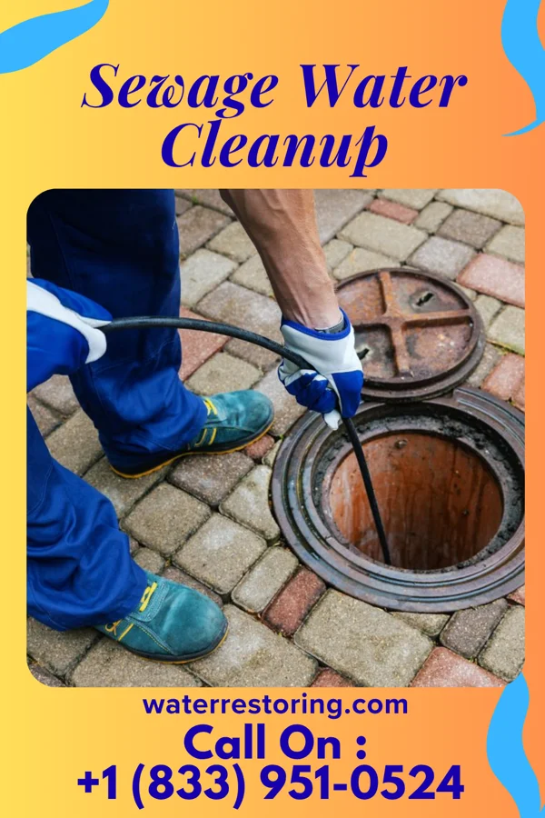Sewage Water Cleanup in Hampstead, MD